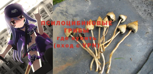ALPHA PVP Магас