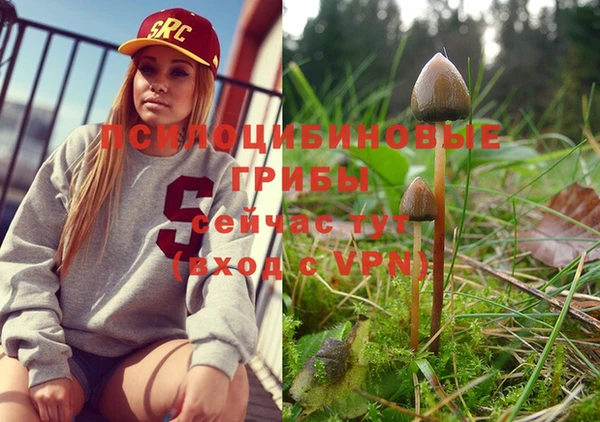 mix Магадан