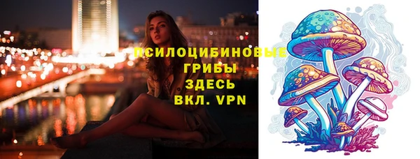 стаф Мегион