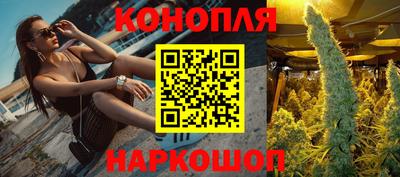 гидра Гусев