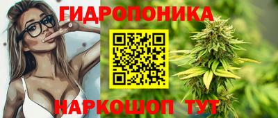 гидра Гусев