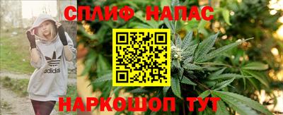 гидра Гусев