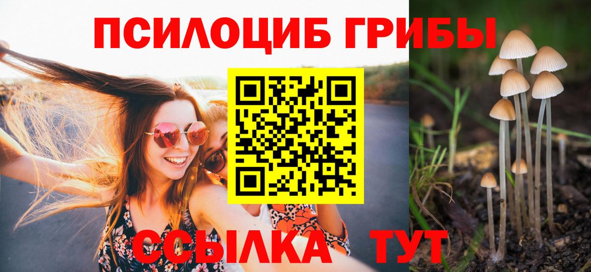 Псилоцибиновые грибы Magic Shrooms  Вход с VPN  Севастополь 